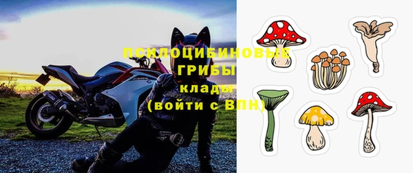 кокс Арсеньев