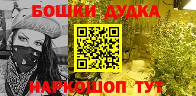 шишки Новокубанск
