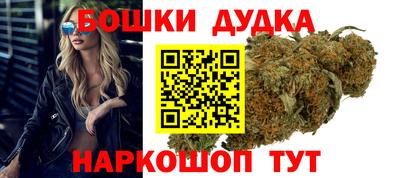 шишки Новокубанск