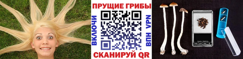 Псилоцибиновые грибы MAGIC MUSHROOMS  Усть-Джегута 