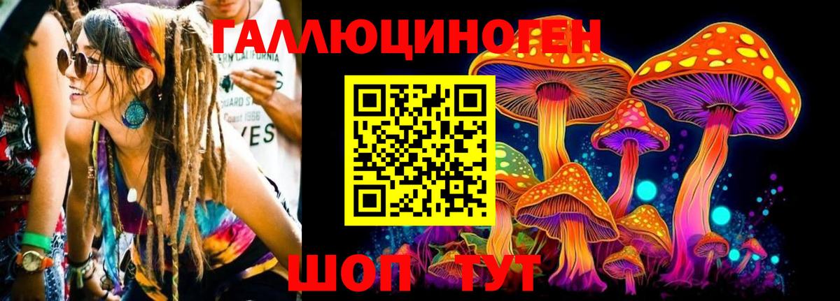 Галлюциногенные грибы ЛСД Усть-Джегута