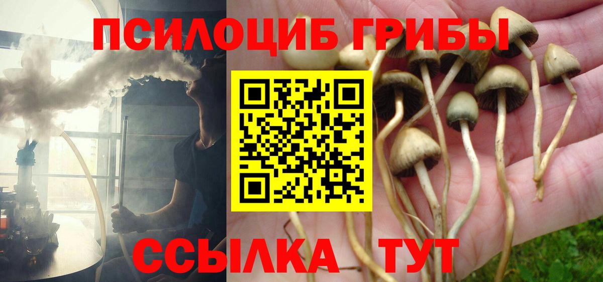 Галлюциногенные грибы Psilocybine cubensis  Вход с VPN  Усть-Джегута 